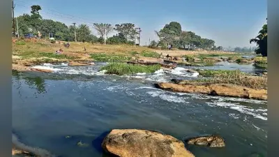 गंदगी से पटे हैं शहर के तालाब, अधिकारियों को नहीं है ख्याल