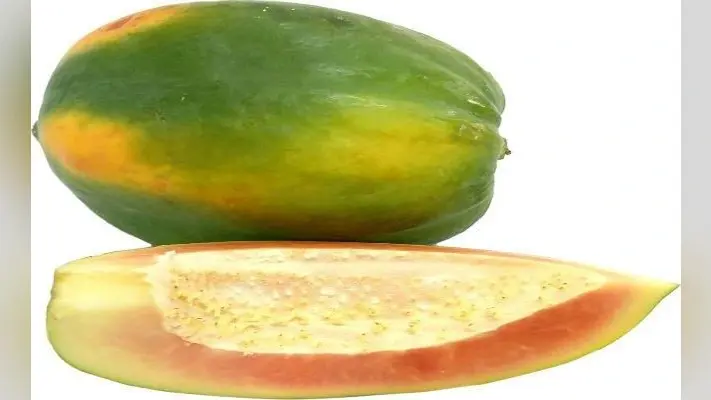 कैद बेटे को पके पपीते में छिपा कर गांजा पहुंचाते पकड़ी गयी महिला