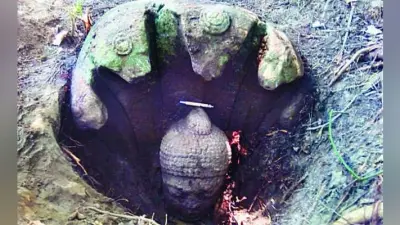 सड़क पर मिली 350 साल पुरानी मूर्ति