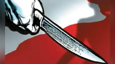 दक्षिणेश्वर स्काई वॉक पर युवती को चाकू मार कर किया घायल
