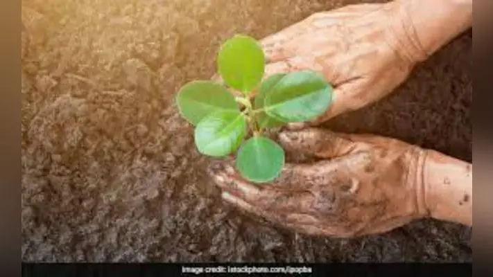 मृत्यु भोज की जगह गरीबों को बाटेंगे वस्त्र, पर्यावरण संरक्षण को लगायेंगे पौधे