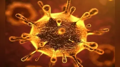 Corona Virus : कोरोना वायरस से अब तक विश्व में सात हजार से अधिक मौते