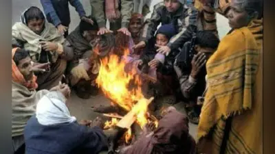 24 घंटे में आठ डिग्री गिरा पारा, ठंड बढ़ी, चार फरवरी को हो सकती है बारिश
