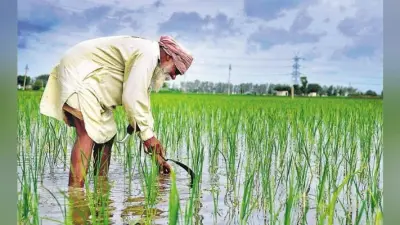 Budget 2020 विश्लेषण : ग्रामीण अर्थव्यवस्था, कृषि को लाभकारी बनाने की कोशिश