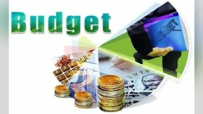 Budget 2020 विश्लेषण : निवेश को बढ़ावा देनेवाला बजट, पढ़ें अर्थशास्त्री प्रो जेडी अग्रवाल का लेख