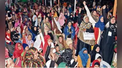 भाजपा के चुनावी वीडियो में दिखा शाहीन बाग का प्रदर्शन, इंस्टाग्राम पर किया पोस्ट