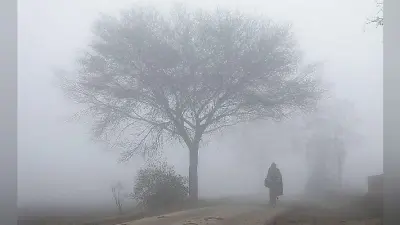 उत्तर भारत में बारिश के साथ बर्फबारी की आशंका, घटेगा कोहरा, बढ़ सकती है ठंड