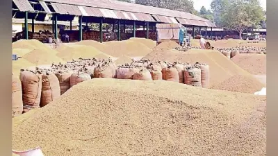 बिहार में किसानों को समय पर धान खरीद का भुगतान को लेकर CM नीतीश कुमार सख्त, अधिकारियों को दिया यह आदेश