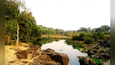 दामोदर नदी में फैल रहा प्रदूषण