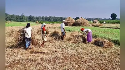 बिहार में मौसम के चलते बढ़ी गरीबी, घटी किसानों की आय, पढ़ें यह खास रिपोर्ट
