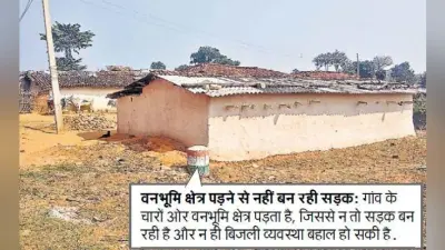 टापू से कम नहीं है झारखंड का पृथ्वीपुर गांव, पोल है बिजली नहीं, गांव है सड़क नहीं, गर्भवती ससुराल छोड़ चली जाती हैं मायके