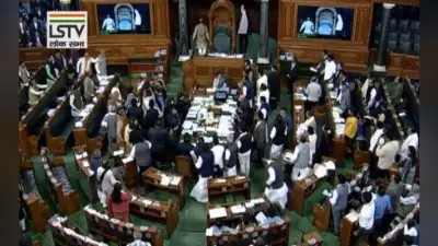 ”मोदी को डंडे मारेंगे” वाले राहुल गांधी के बयान पर लोकसभा में हंगामा, हर्षवर्धन की ओर दौड़े कांग्रेसी सांसद