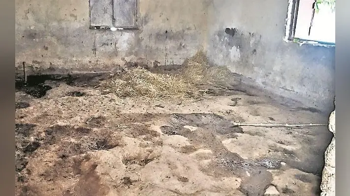 विलय के बाद बंद हुए स्कूल भवनों का दुरुपयोग, भवनों पर कब्जा, शिक्षक वसूल रहे भाड़ा
