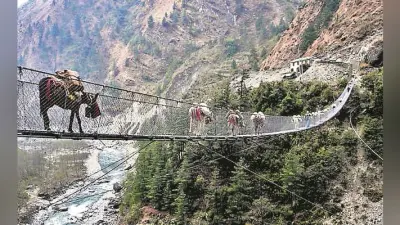 घुमक्कड़ी : पुलों की महिमा भी खूब है