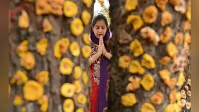 अंधविश्वास : सर्पाकार कुम्हड़े के तने की पूजा