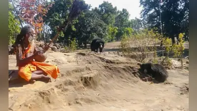 भालुओं का एक परिवार हर दिन आता है साधु की कुटिया में, खामोशी से बैठकर सुनता है पूरा भजन