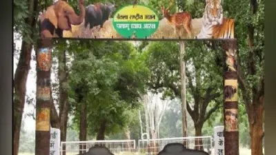 पलामू टाइगर रिजर्व : जंगल को बचाने के लिए 80 गांवों में बनी थी इको विकास समिति