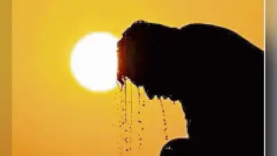 सर्दी के बाद गर्मी का सितम : मार्च से ही रिकॉर्ड तोड़ने की तैयारी में गर्मी, आज से कई हिस्सों में बारिश की संभावना