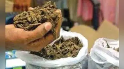 ऑनलाइन लॉटरी के खिलाफ पुलिस का अभियान, 14 लाख रुपये व गांजा जब्त