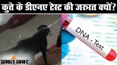 अजब MP में गजब घटना: इंसान नहीं एक कुत्ते का DNA टेस्ट, आखिर क्यों पड़ी जरुरत?