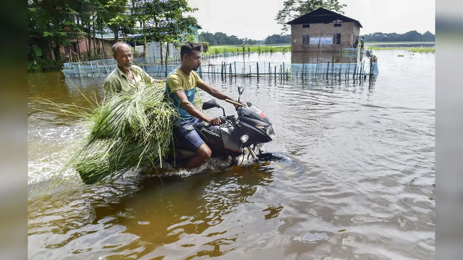 Assam Flood : बाढ़ के पानी में घुसकर सीएम हिमंत बिस्वा सरमा तक कुछ इस तरह पहुंचा शख्स, देखें VIDEO
