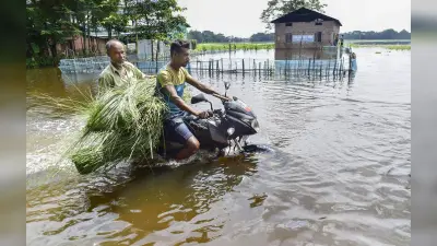 Assam Flood : बाढ़ के पानी में घुसकर सीएम हिमंत बिस्वा सरमा तक कुछ इस तरह पहुंचा शख्स, देखें VIDEO