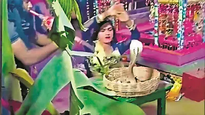 अष्टयाम में भगवान शंकर बने युवक के गले में लपेटा जहरीला नाग, डसने से हुई मौत