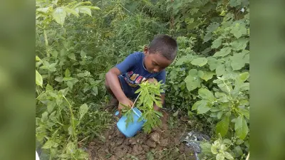 डीएवी विवेकानंद पब्लिक स्कूल बेड़ो में वृक्ष रोपण कर मनाया गया शिक्षक दिवस