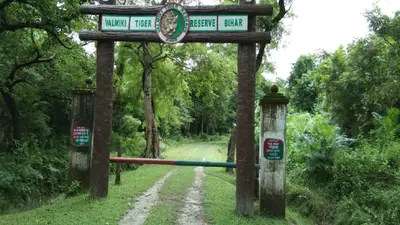 पर्यटकों के लिए खुला वाल्मिकी टाइगर रिजर्व, जंगल सफारी, बोटिंग के अलावा टुरिस्ट इन चीजों का भी ले सकेंगे आनंद
