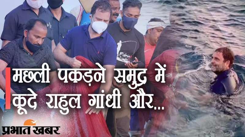 मछली पकड़ने समुद्र में कूदे कांग्रेस सांसद राहुल गांधी, हाथ लगा कुछ और… सोशल मीडिया पर वीडियो वायरल