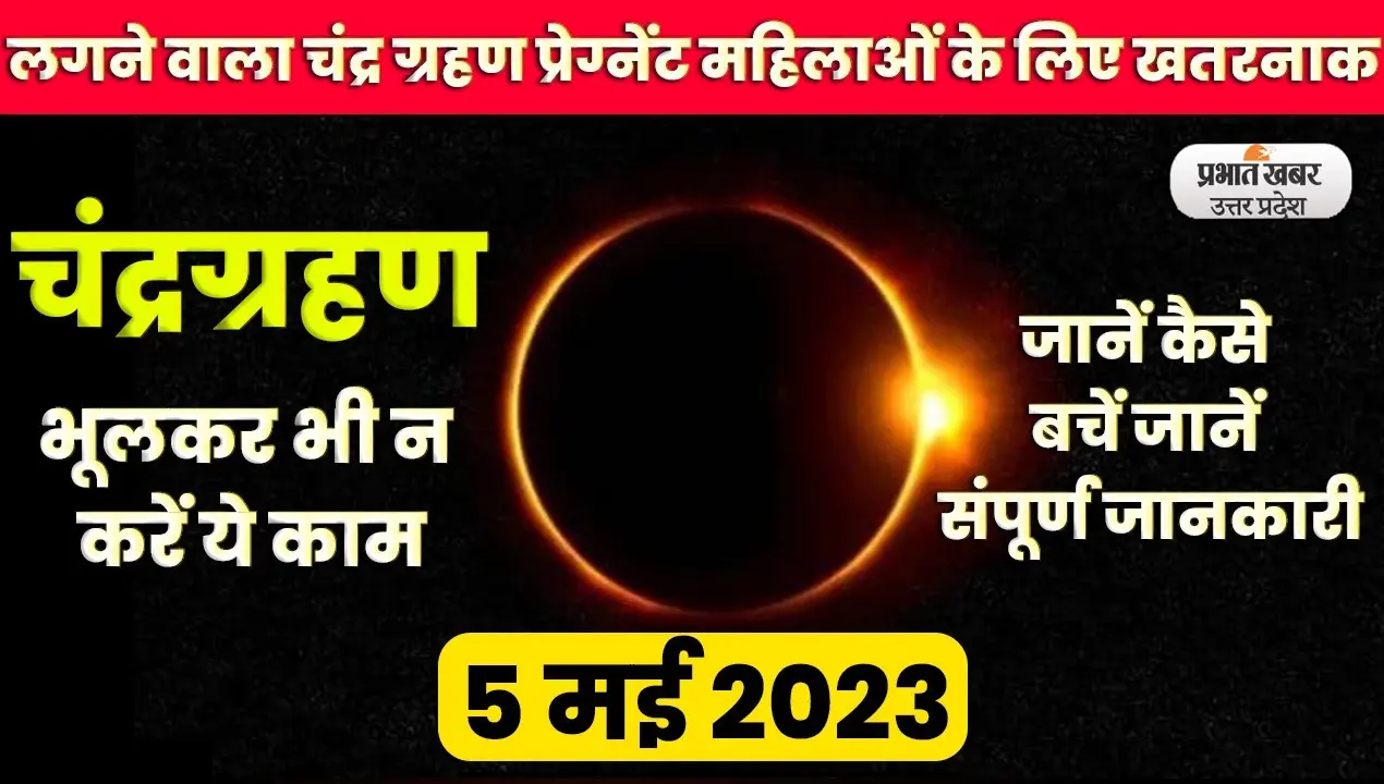 भागलपुर में गरुड़ के संरक्षण पर खर्च होगा 39 लाख रुपये, वन विभाग के संयुक्त सचिव ने जारी की चिट्ठी