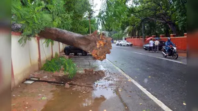 Cyclone Yaas Updates : चक्रवात ‘यास’ पहुंचा झारखंड, उखड़ गया विशाल पेड़, कई जिले जलमग्न, जानें कैसे तांडव मचा रहा है तूफान