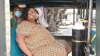 पटना में अब घर बैठे ऑनलाइन मंगाई जा रही ताजी और सस्ती सब्जी, जानें तरकारी मार्ट से कैसे कर सकते हैं ऑर्डर