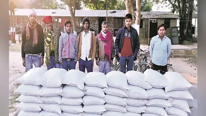 SSB जवानों ने पकड़े नेपाल से भारत भेजे जा रहे चाईनीज मटर के खेप, सात तस्कर गिरफ्तार