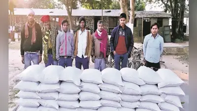 SSB जवानों ने पकड़े नेपाल से भारत भेजे जा रहे चाईनीज मटर के खेप, सात तस्कर गिरफ्तार