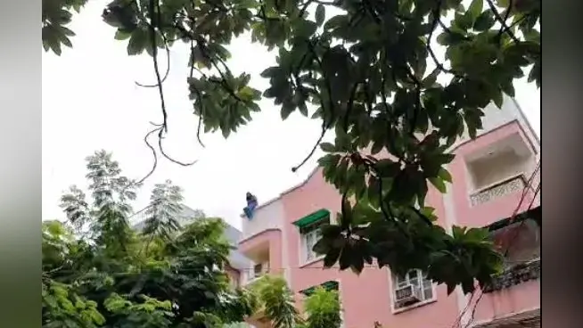 पटना में छात्रा ने अपार्टमेंट की चौथी मंजिल से लगाई छलांग, नीचे खड़े युवक ने फिल्मी अंदाज में बचाई जान