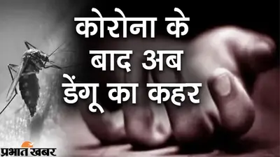 बारिश और बदलते मौसम के कारण बढ़े पटना में डेंगू के मरीज, जानें PMCH के अधीक्षक ने क्या दी सलाह