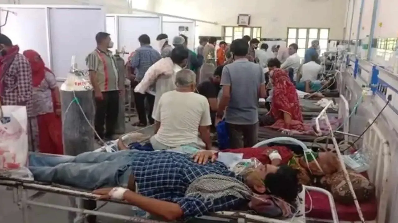 लिवर, छाती व पेट पर अटैक कर रहा है डेंगू, बिहार में अब तक 112 का इलाज