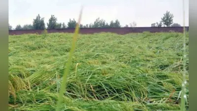 अब विधान परिषद की सीटों पर टिकी नजर
