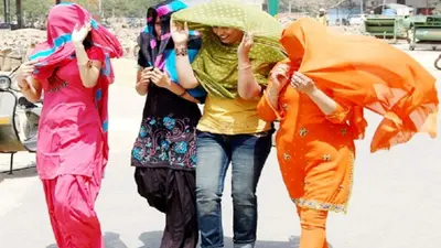 The Kapil Sharma Show : क्या सच में जेनेलिया को पिछले जन्म की बातें याद आती हैं? कपिल शो में रितेश ने किया मजेदार खुलासा