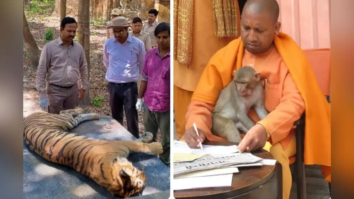 रिया चक्रवर्ती के वकील को एनसीबी ने दिया कोर्ट में जवाब