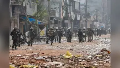 दिल्ली हिंसा : अली बंधुओं की पीटकर हुई थी हत्या, 20 लोगों के खिलाफ आरोपपत्र दायर