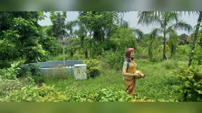 सरायकेला खरसांवा में रख रखाव के अभाव में बर्बाद हो रहा करोड़ों की लागत से बना शहीद पार्क