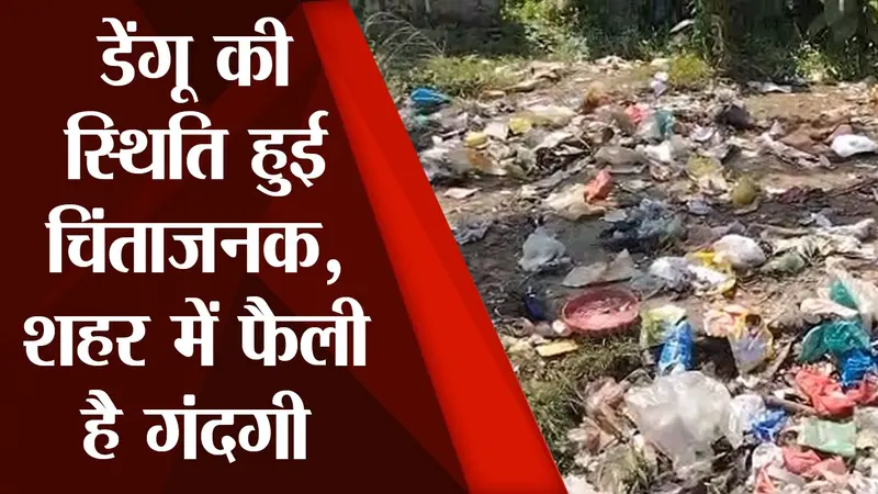 पटना अभी डेंगू से है परेशान, शहर में कचड़े के अंबार से और भी कई बीमारी फैलने का है डर