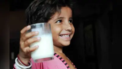 वर्ल्ड मिल्क डे स्पेशल : मनाई जा रही है वर्ल्ड मिल्क डे की 20वीं वर्षगांठ