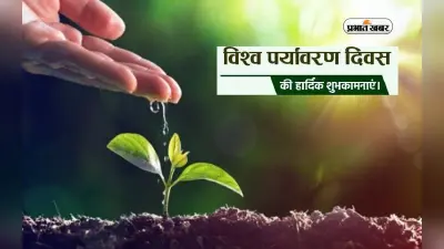 विश्व पर्यावरण दिवस पर पौधे लगाकर करें बागवानी, ऐसे बचाएं पानी