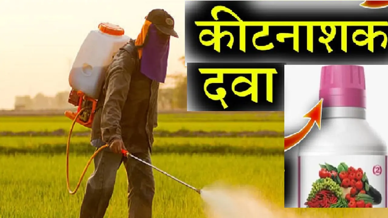 Bihar News: बिहार में आज से 21 जनवरी तक नये नियम लागू, रात आठ बजे तक खरीदारी मॉल, पार्क और जू भी बंद