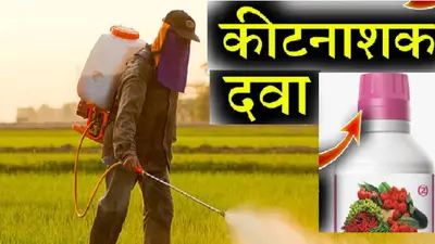 पटना जू में मगध के बाद बबली की मौत से मचा हड़कंप, जानें क्या है मादा जेबरा की मौत की वजह..