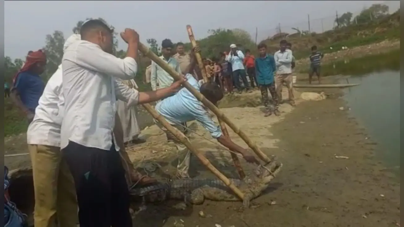 बिहार में इन सरकारी वाहनों की होगी ई-नीलामी, निजी वाहनों को स्क्रैप करने के लिए करना होगा ऑनलाइन आवेदन