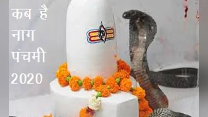 Nag Panchami 2020: आज है नाग पंचमी, जनिए पूजा विधि और शुभ मुहूर्त
